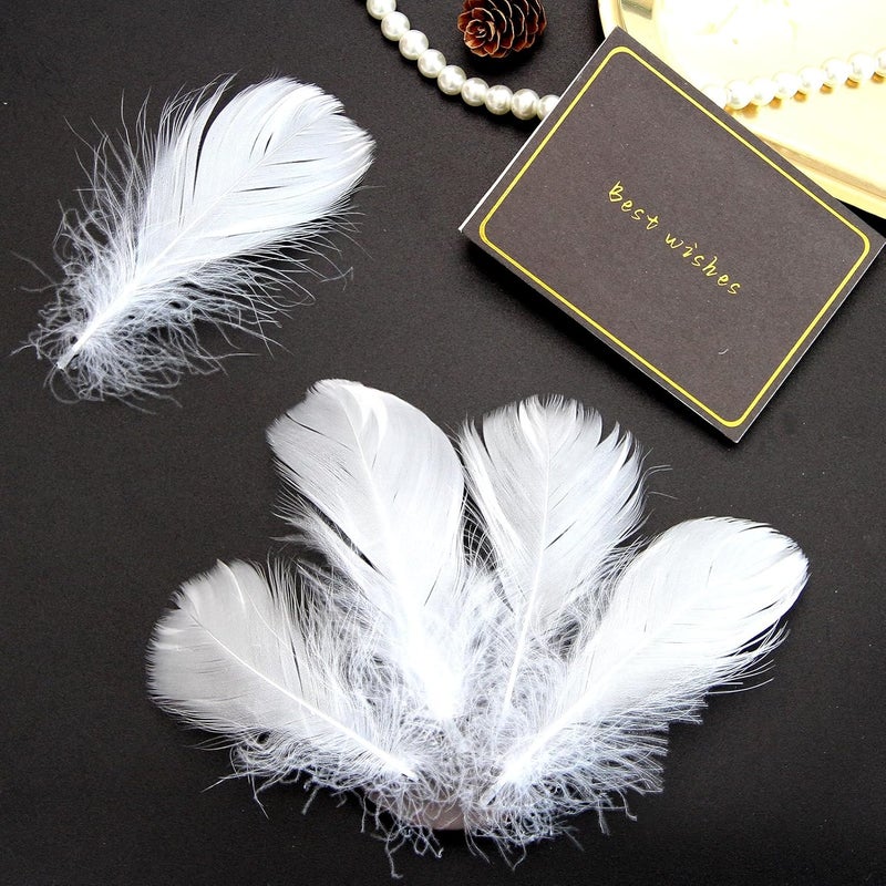 Lamar Feather Lamar 300Pcs 2-3'' White Feathers Bulk for Crafting, Dream Catcher Accessories, Art Projects, DIY Crafting, Handi Crafts, Party Decoration (White) - Image 5